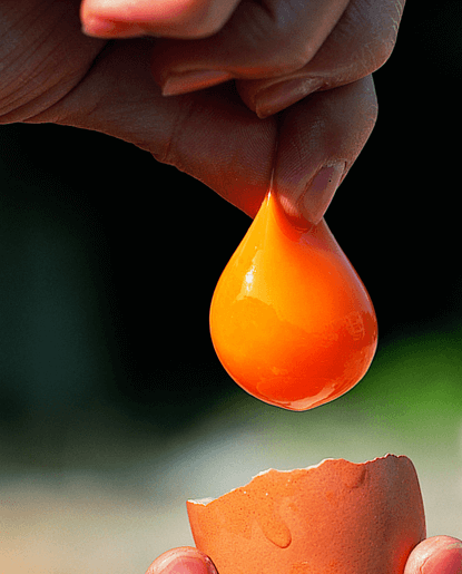 雪侍にんにく卵黄