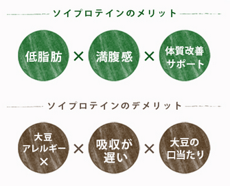 スーパーフードプロテインパウダー