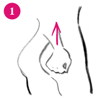 ヒップルンホワイトクリーム