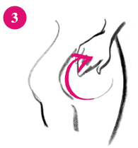 ヒップルンホワイトクリーム