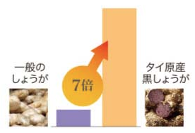 スマート黒しょうが+生酵素