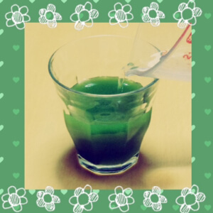 世田谷自然食品 乳酸菌が入った青汁