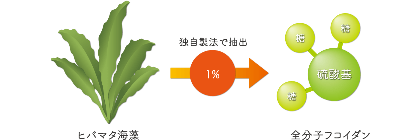 全分子フコイダンエキス