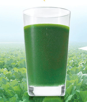 ファンケル青汁