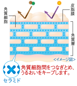 小林製薬のヒフミド