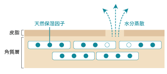 ボムバストクリーム リッチ 口コミ