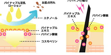 パイナップル豆乳ローション