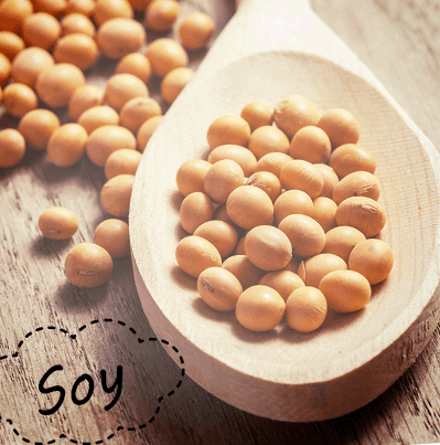 ボムバストクリーム リッチ 口コミ