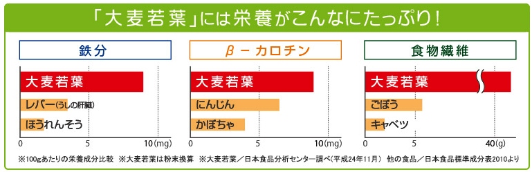 乳酸菌が入った青汁には栄養素たっぷり大麦若葉