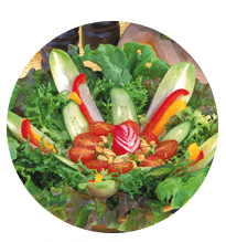 栄養たっぷり大麦若葉を使用