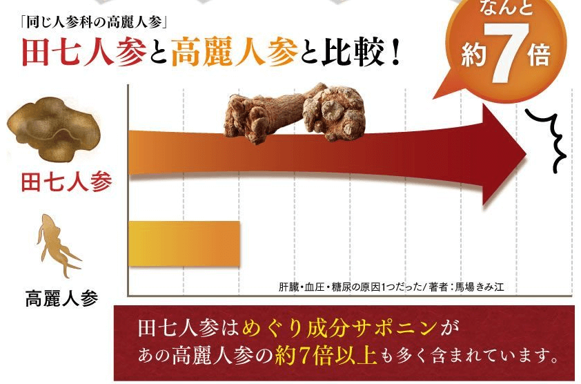 高麗人参の7倍のパワー