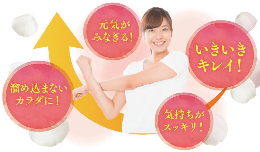 和漢×発酵白井田七。かめ