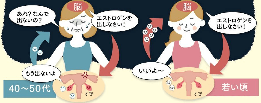 和漢×発酵白井田七。かめ