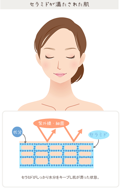 ピュアセラ 口コミ