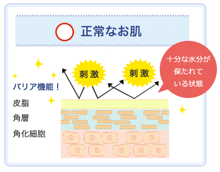 正常な肌