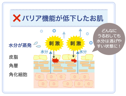 バリア機能が低下した肌