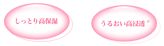 ノブⅲトライアルセット