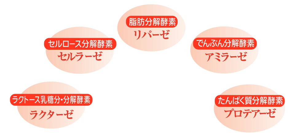 すっぽんスリム酵素 口コミ