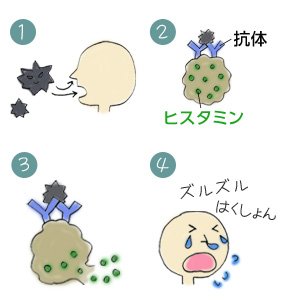 えぞ式スースー茶効果 口コミ