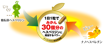 糖転移ヘスペリジンとナノヘスペレチン