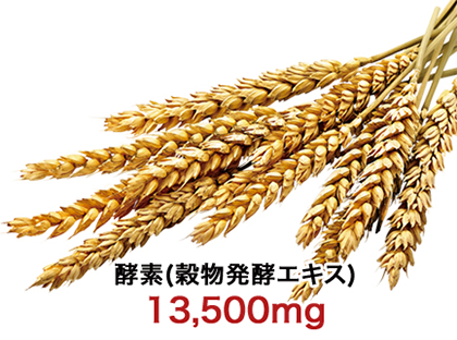 酵素を補う(補酵素)