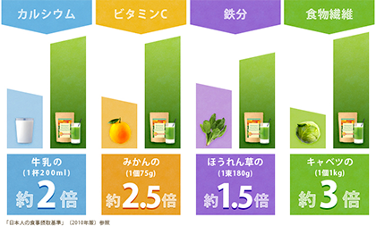 Natural Healthy Standardミネラル葉酸グリーンスムージー 口コミ