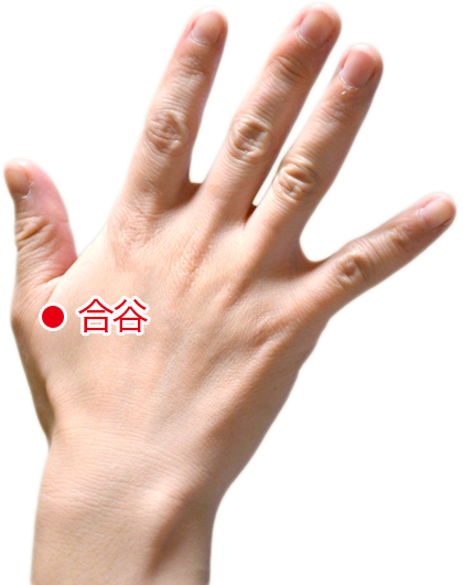 合谷