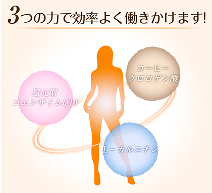 コーヒー ダイエット 痩せた