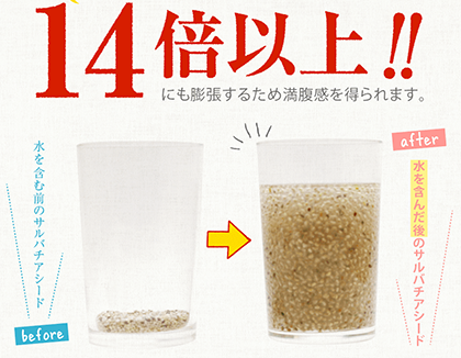 サルバチアシード