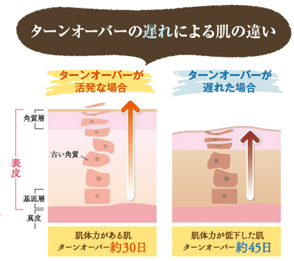 いるじゅらさ 口コミ