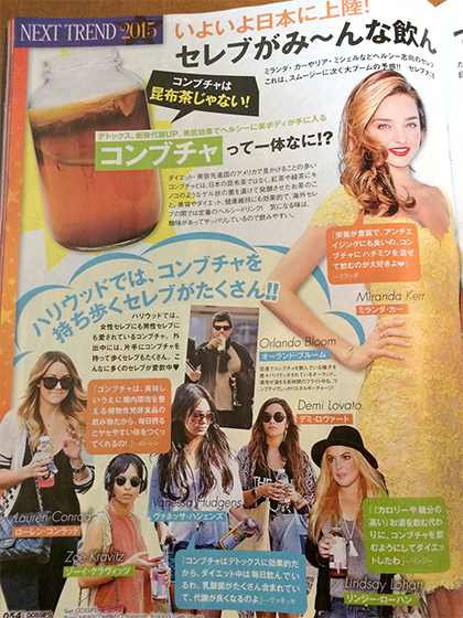 コンブチャ 作り方 コンブチャ 効果 コンブチャ 効能 コンブチャ 口コミ 紅茶キノコ