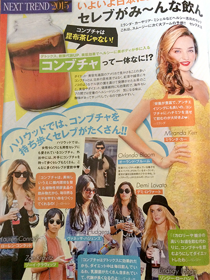 コンブチャスリム 最安値コンブチャ 作り方