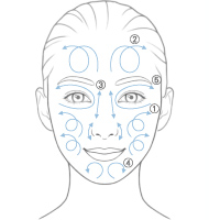 顔全体になじませる