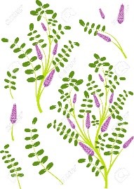 毛穴・角栓詰まり、大人ニキビを知らずのツルツル肌になれる『無添加　ファンケル　ドクターシリーズ　アクネケア1ヶ月おためしキット』を徹底検証！