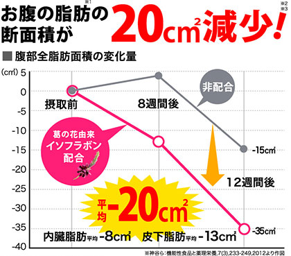 脂肪 燃焼 方法 お腹