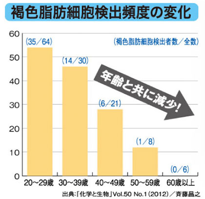 脂肪 燃焼 方法 お腹