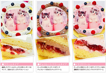 【シェリーブラン】