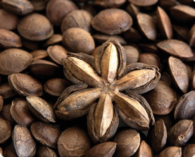 サチャインチナッツって?効果は?