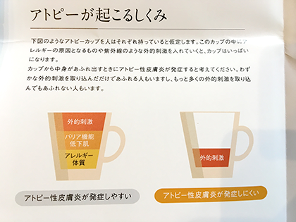 アトピーが起こる仕組み