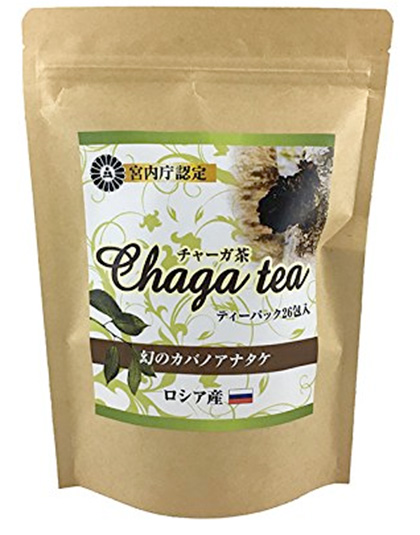chaga2