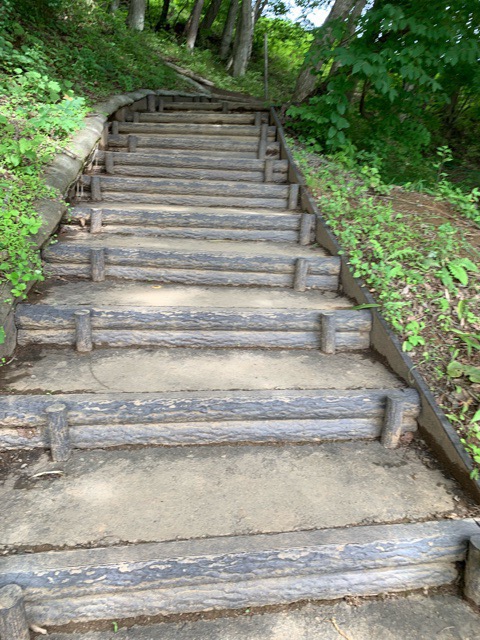 福島県田村市こどもの国「ムシムシランド」営業時間情報