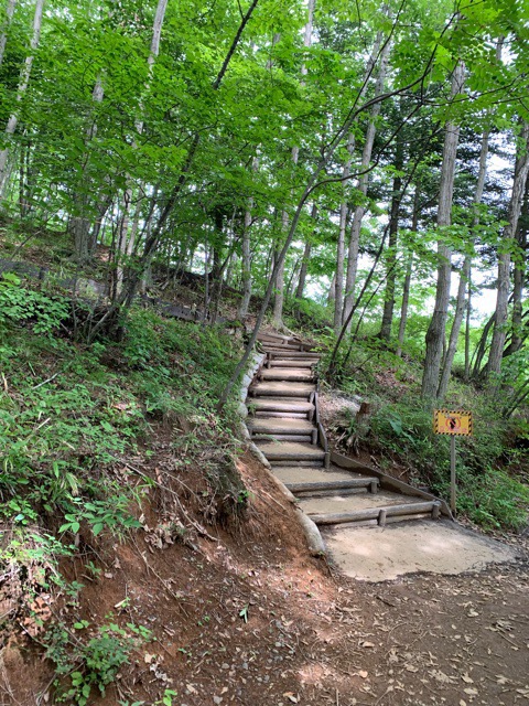 福島県田村市こどもの国「ムシムシランド」営業時間情報