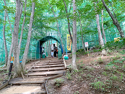 福島県田村市こどもの国「ムシムシランド」営業時間情報