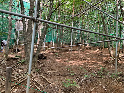 福島県田村市こどもの国「ムシムシランド」の中の様子